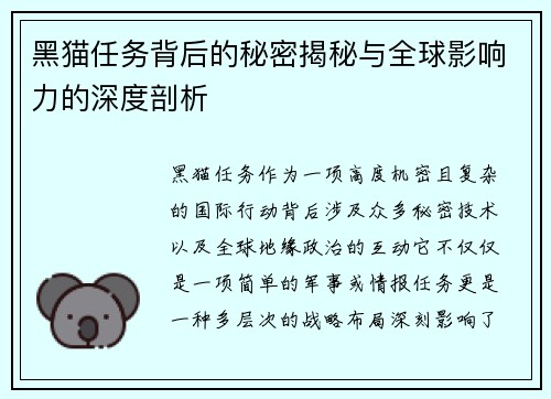 黑猫任务背后的秘密揭秘与全球影响力的深度剖析